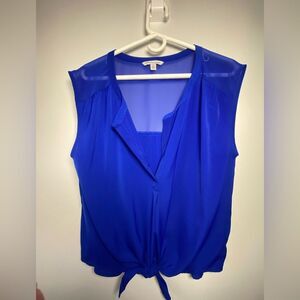 American Eagle Outfitters Blue Sleeveless Blouse